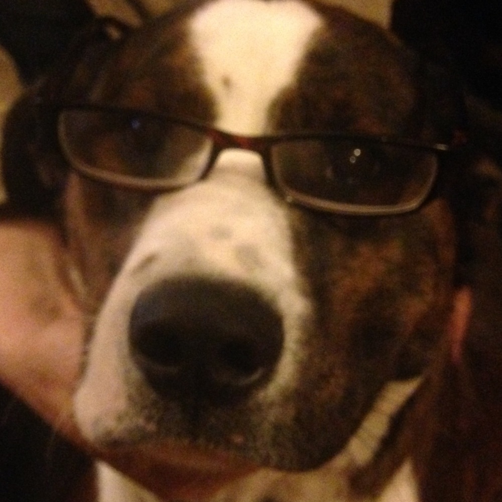 Meet your Posher, Ofelia